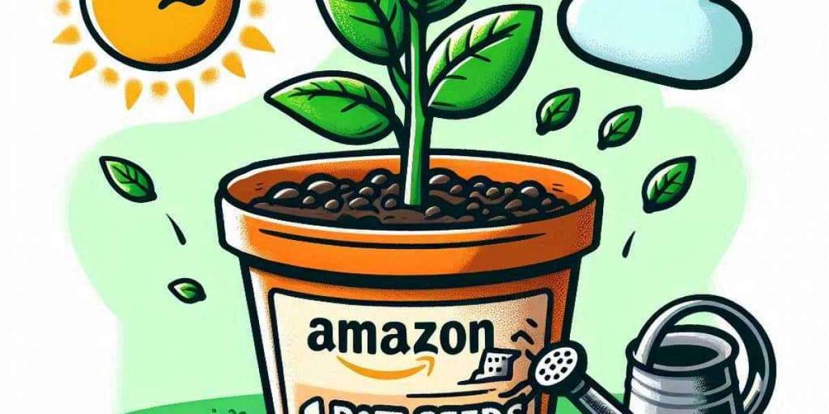 A Guide to Buying Cannabis Seeds on Amazon: What You Need to Know