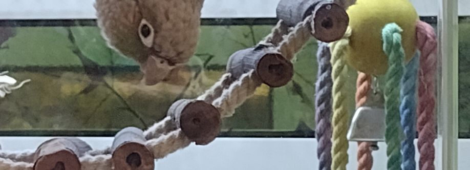 Bbeeb 169 Cover Image