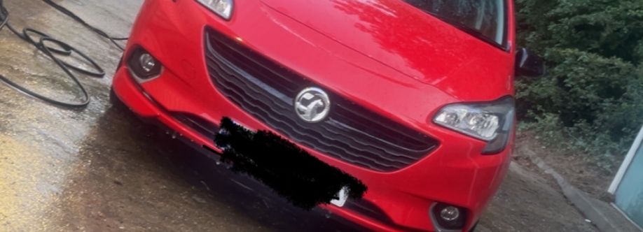 Alfie Brady Cover Image