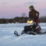 Budgie Entertainment